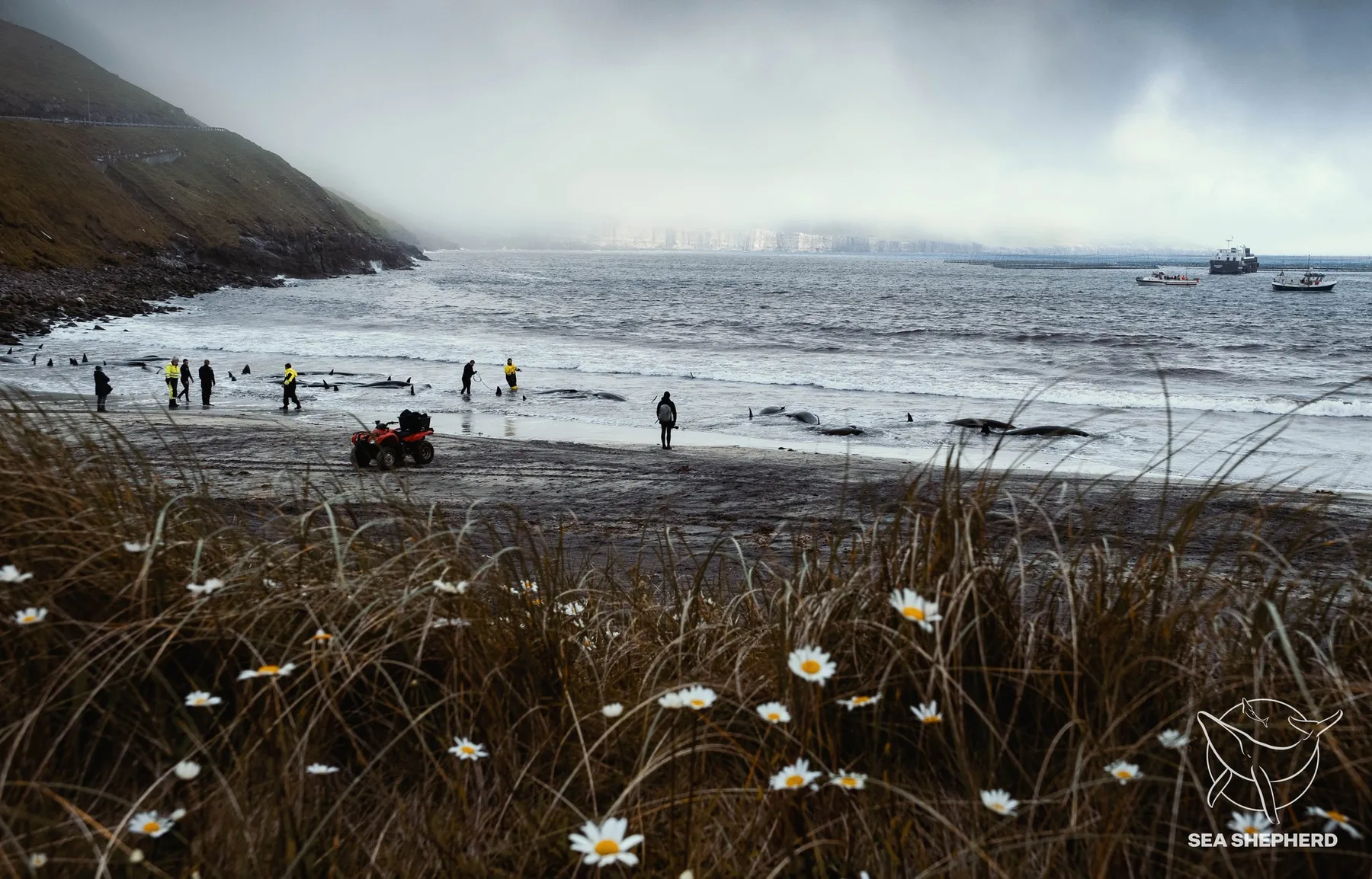 A Faroe shoreline after a whale hunt, photographed by Odin Oddekalv